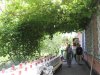 img_3331