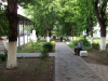 dscf0659_0
